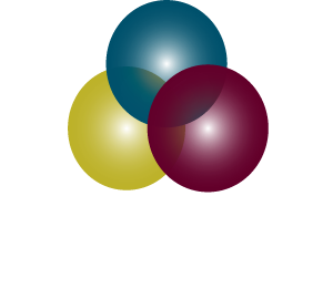 Trauma Survivors Foundation