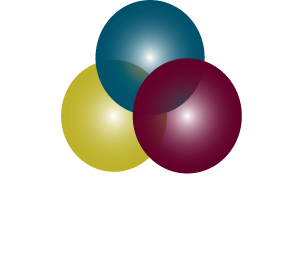 Trauma Survivors Foundation