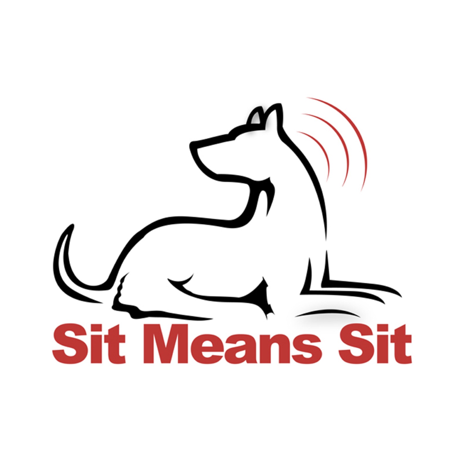 Sit Means Sit